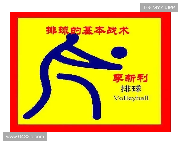 南京排球队反击战术深度解析与实战应用探讨